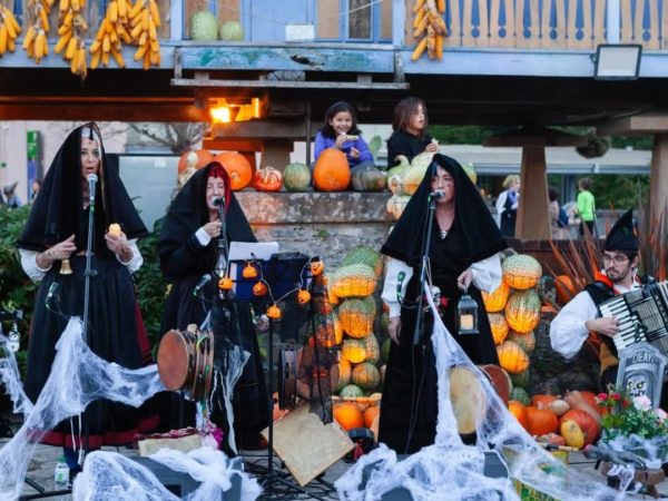 Grupo Compañeras (5)