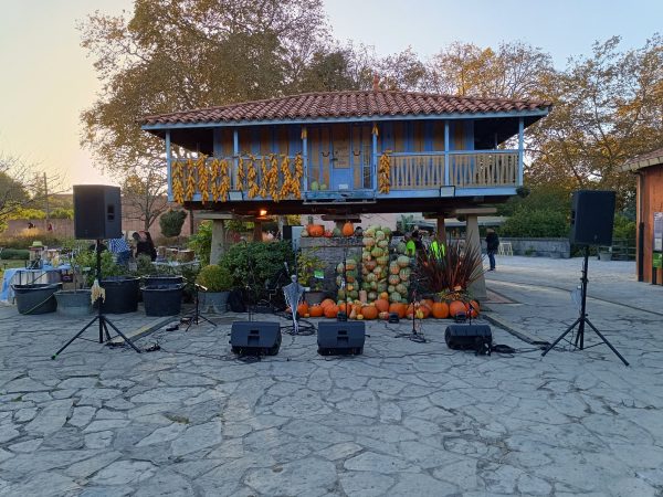 compañeras botanica 1