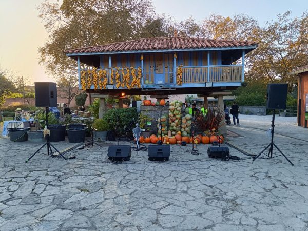 grupo compañeras 2